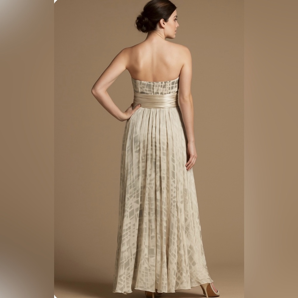NWT - BCBGMaxAzria Long Chiffon Silk Flowy Silvery-Beige 
Gown - Picture 3 of 11